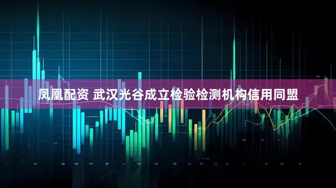 凤凰配资 武汉光谷成立检验检测机构信用同盟